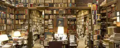 Reading