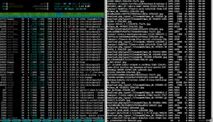 Migrating a Website from the Terminal