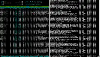 Migrating a Website from the Terminal