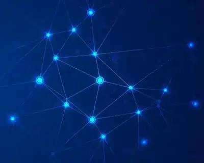 Without Network